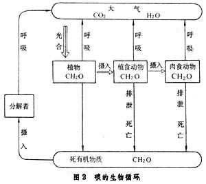 生物地球化學循環