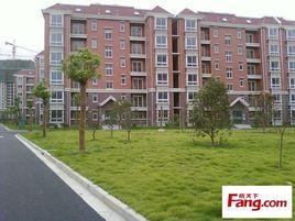 好日子大家園D區 好日子大家園D區