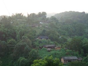 農奪自然村 農奪自然村