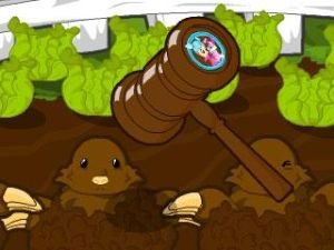 菜園敲地鼠 菜園敲地鼠