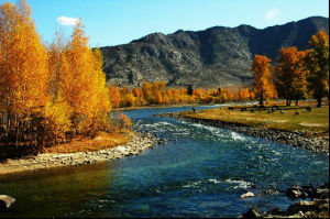 白樺公園 白樺公園
