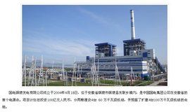 國電銅陵發電有限公司 國電銅陵發電有限公司