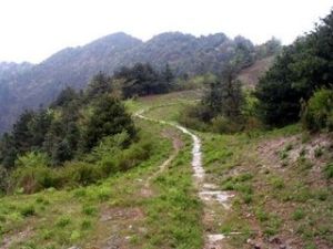 休龍古道 休龍古道