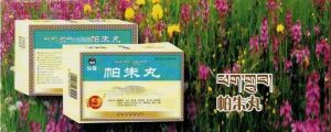 藏藥帕朱丸 藏藥帕朱丸
