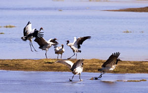 昭通大包山濕地