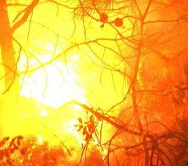 2·14冕寧火災 2·14冕寧火災