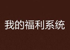 我的福利系統