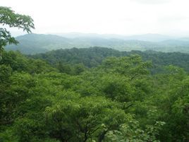 美麗的小興安嶺