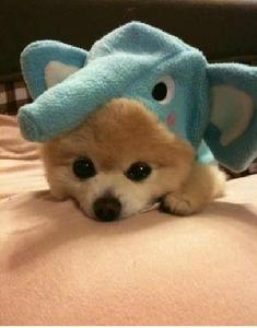 愛需慢慢磨 愛需慢慢磨