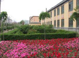 舒蘭十八中 舒蘭十八中