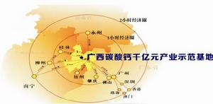 廣西碳酸鈣千億元產業示範基地