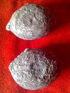 兩個石頭的愛情故事 兩個石頭的愛情故事