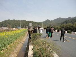 小路口鎮[安徽省祁門縣下轄鎮]