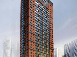 中山58號 中山58號