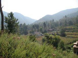 白家溝村[山西省長治市潞城市史回鄉下轄村]