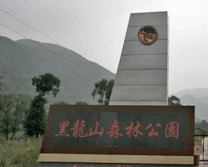 黑龍山國家森林公園 黑龍山國家森林公園
