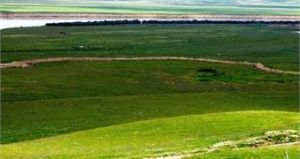 曼扎塘風景區 曼扎塘風景區