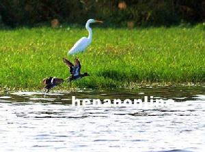 白牆水庫 白牆水庫