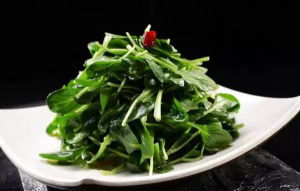 清焯菜苗 清焯菜苗