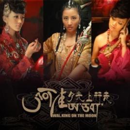 遇見你[阿佳演唱歌曲]