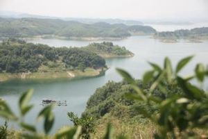 丹江口千島畫廊 丹江口千島畫廊