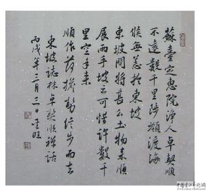 《東坡志林》