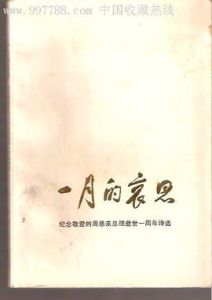一月的哀思 一月的哀思
