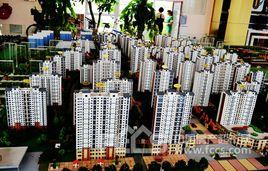 金柱·大學城 金柱·大學城