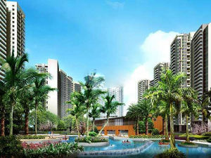 深圳市東部開發（集團）有限公司