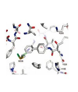 馬努斯島 馬努斯島