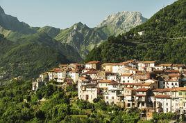 施莊村[河南臥龍區石橋鎮下轄村]