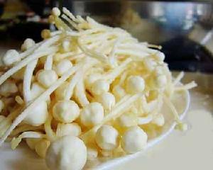 金針菇銀芽干貝酥