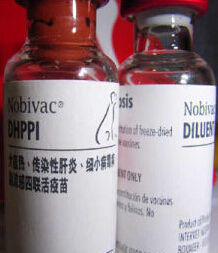 五聯疫苗 五聯疫苗