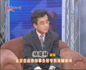 《你該怎么辦》