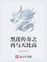 黑蓮傳奇之再與天比高 黑蓮傳奇之再與天比高