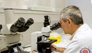 B肝表面抗原檢測