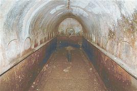 維山古墓 維山古墓