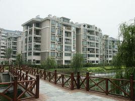 陽明國際花苑 陽明國際花苑