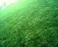 斜坡種草固坡技術 斜坡種草固坡技術