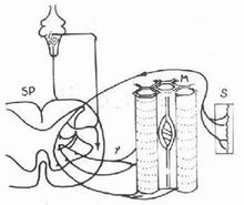Rood技術 Rood技術