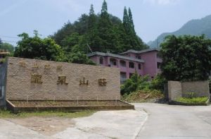 龍山溫泉龍泉山莊 龍山溫泉龍泉山莊