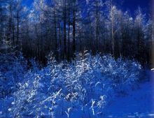 漢瑪自然保護區 漢瑪自然保護區