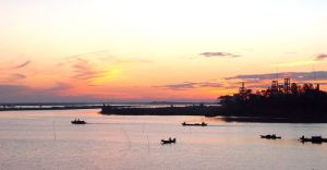 漢壽西洞庭湖自然保護區