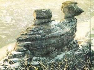 坪石鎮金雞嶺 坪石鎮金雞嶺