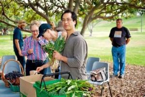 城市農夫 城市農夫