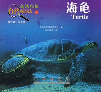 《新法布爾自然觀察法16：海龜》