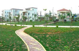 廉江市石角鎮 廉江市石角鎮