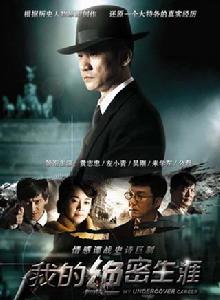 我的絕密生涯
