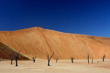 世界上最高的沙丘，大約高達350米
