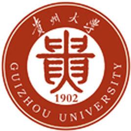 貴州大學藝術學院音樂系 貴州大學藝術學院音樂系